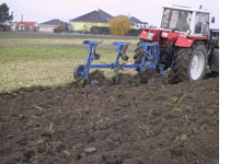 Pfl&uuml;gen